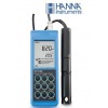 便携式溶解氧测定仪