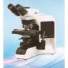 奥林巴斯BX43显微镜