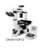 CKX31-A12PHP奥林巴斯倒置双目显微镜