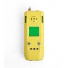 CY30/B泵吸式氧气检测仪