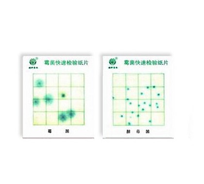 霉菌、酵母菌测试片图1