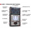 mx6 燃气测定仪