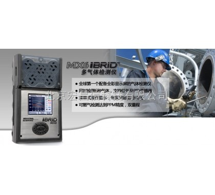 MX6二合一气体检测仪图1