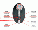 FGM-2002 RAEGuard 2 PID  堵头 3/4″NPT M