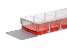 Eppendorf 载玻片培养系统, 1 个腔室, TC 处理, 独立包装, 16 个/盒