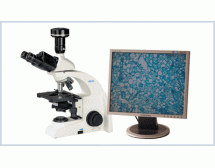 UB103i-DM320 数码生物显微镜 无限远物镜320万像素数码摄像系统含图像软件