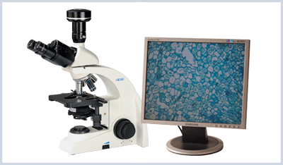 UB103i-DM320 数码生物显微镜