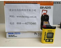 T40－H2S气体检测器,0-1000PPM（碱性电池）