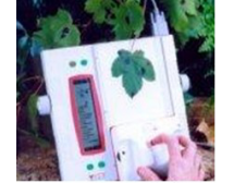 AM-300手持式叶面积仪