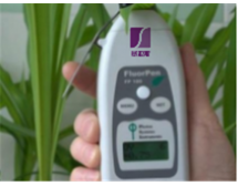 AquaPen-P AP-P 100手持式叶绿素荧光测量仪
