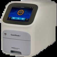 QuantStudio 1 核酸定量系统