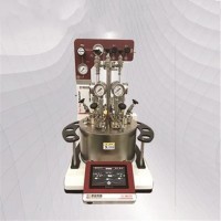 YZMR-6-50-S 平行高压反应釜
