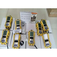 PGM-6208 便携式 甲硫醇 (CH₃-SH) 气体检测仪 (0-10 ppm)