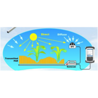 层冠分析仪sunscan测叶面积指数（农作物）
