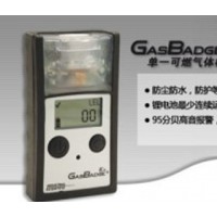 单一可燃气体检测仪