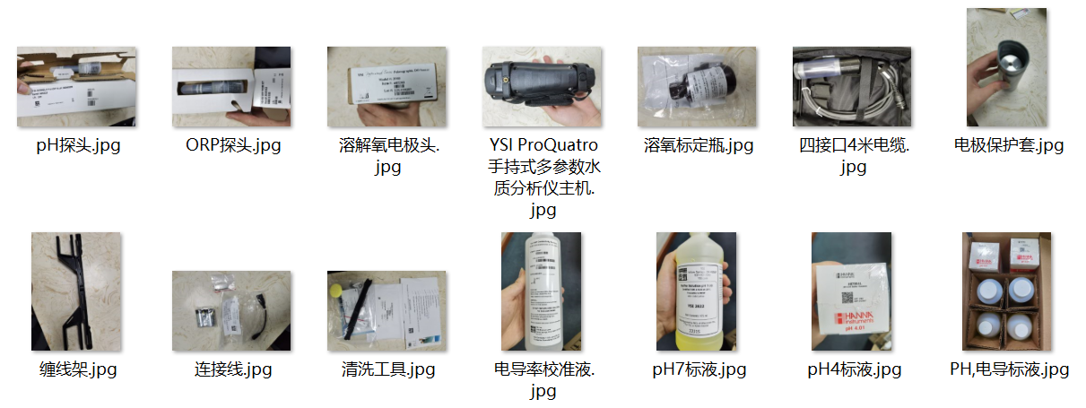 YSI ProQuatro 手持式多参数水质分析仪
