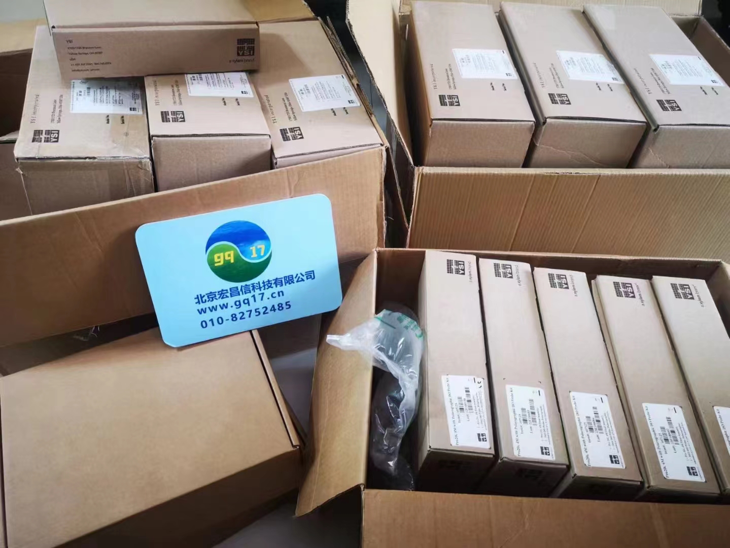 美国YSI 5906 溶解氧电极盖膜