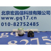 美国英思科 MX6 二氧化硫(SO2)传感器 17124975-5