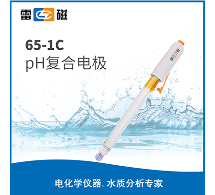 65-1C pH复合电极